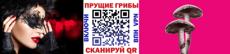 Купить закладки  Дигора  Псилоцибиновые грибы MAGIC MUSHROOMS 