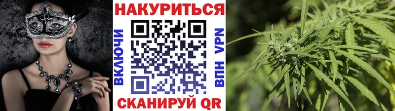 Каннабис план  Купить закладки  Дигора 